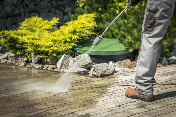Boat and Dock Cleaning in Agua Dulce, TX