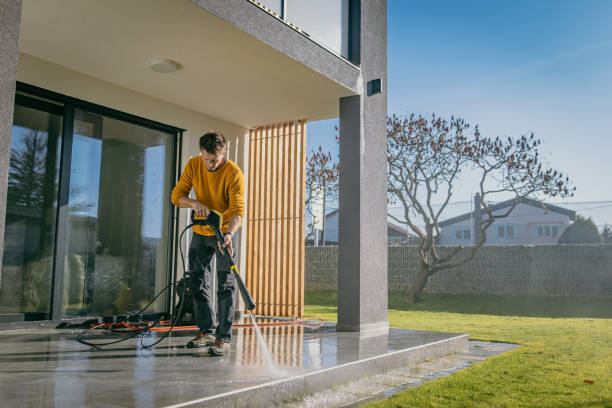 Best Graffiti Removal  in Agua Dulce, TX